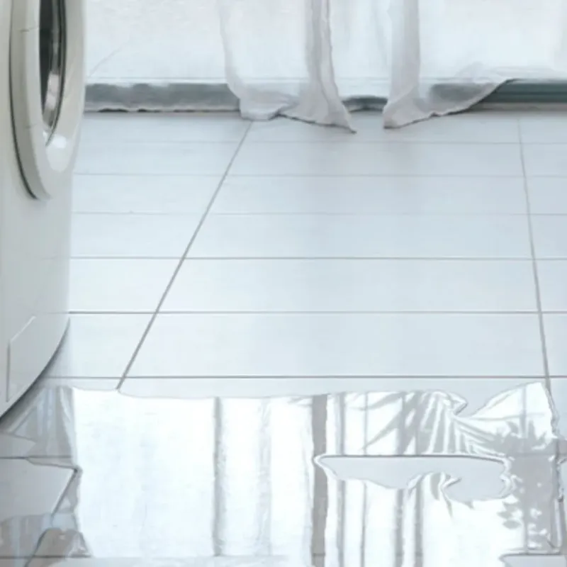 Appliance Leak Cleanup in Otsego, MI