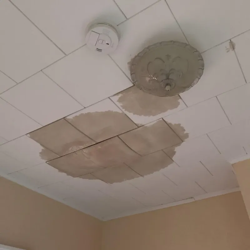 Ceiling Water Damage Repair in Otsego, MI
