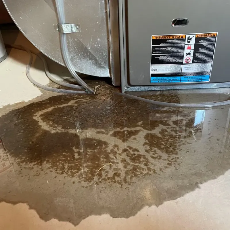 Pipe Burst and Leak Restoration in Otsego, MI