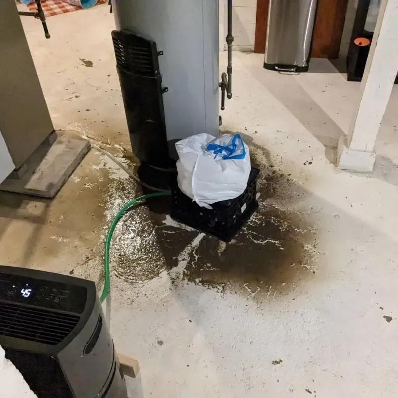 Sewage Backup Cleanup Service in Otsego, MI